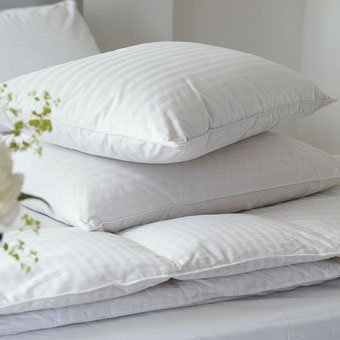 SleepyNights Love2Sleep 1 ULTRA BOUNCE PILLOWS (1 PILLOWS)