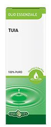Tuia Olio Essenziale 10 ml
