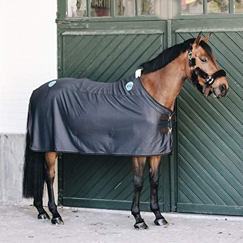 Kentucky Magnetic Rug Recuptex - Navy