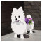 Awoyep Berner Sennenhund Pflanztopf Blumentopf für Gartendekoration, Kleine Welpen Geschenke für Frauen, Hundeform Pflanzgefäß Halter Hund Aufbewahrungsbox (Color : A)