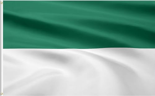 Lixure Schützenfest Flagge, Grün/Weiß Dekoartikel 60 x 90 cm Polyester Fahne, langlebig, leuchtend, farbbeständig, reißfest, mit 2 Messingösen für Garten Innen- Außenbereich