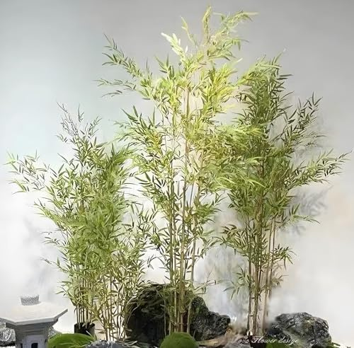 Fake Bamboo Plant,Artificial Fake Bamboo Tree,with Simulated Rubber Leaves Artificial Landscape Bamboo,for Indoor Outdoor Faux Bamboo Plant Privacy Trees,2m/6.56ft