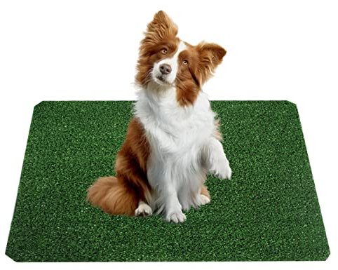 Fulenyi Faux Pipi d'herbe pour Chien | Forte Absorption, Herbe Douce et véritable pour l'la propreté des Animaux Compagnie – Tapis Pipe en Gazon synthétique pour Chiens et