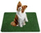 Fulenyi Faux Pipi d'herbe pour Chien | Forte Absorption, Herbe Douce et véritable pour l'la propreté des Animaux Compagnie – Tapis Pipe en Gazon synthétique pour Chiens et