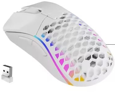 ELECGO Souris sans Fil RGB, Souris Poids Léger Rayon de Miel, DPI Ajustable, 14 Modes de Rétroéclairage RGB, Plug & Play, pour PC/Mac, Noir