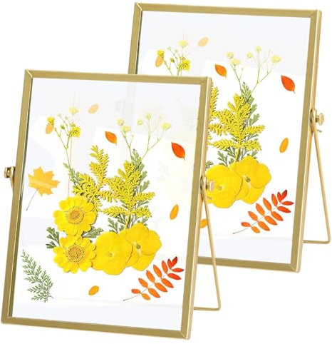 PRITOK Bilderrahmen Glasrahmen für Gepresste Blumen 2 Stücke Gold Metall Desktop Fotorahmen, Bilderrahmen aus Glas und Metall für Gepresste Blumen, Blumen Artwork Bild Display Halter 15 x 20 cm