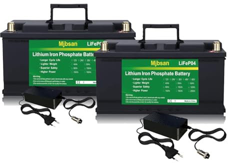 Batteria al litio LiFePO4 da 12 V 100 Ah incorporata 100 A BMS, potenza di uscita 1280 W per camper, impianti solari, marine, accumulo di energia a casa e indipendente dalla rete (2 confezioni)
