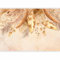 murando - Papier peint panoramique nature 350x256 cm - Revêtement mural décoration salon - Design moderne - Beige marron - Boho plumes feuilles fleurs fleurs séchées herbe bohème b-C-10205-a-a