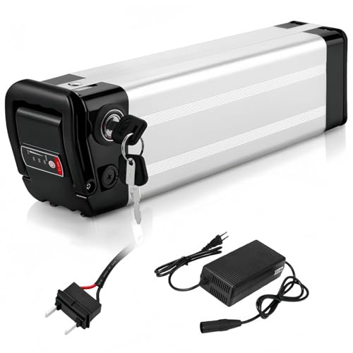 X-go 2600Mah 4500Mah E-Bike Akku für Pedelec XH259-10J Ersatzbatterie für Trio, Phylion, MiFa, Rex