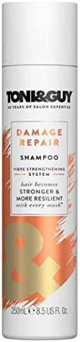 Toni&Guy Damage Repair Shampoo I Reparatur-Shampoo für strapaziertes Haar I Reparierendes Haar-Shampoo für alle Haar-Farben & alle Haar-Typen I Haar-Pflege-Shampoo für geschädigtes Haar I 250 ml