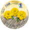 Ursus 3147512 - Faltblätter Rund Uni intensiv, gelb, 100 Blatt, aus Plakatpapier, 65 g/qm, Durchmesser ca. 12 cm, durchgefärbt, ideal zum Falten von Papierblüten und blumen