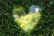 Poster Plakat Herz Taille in Buchsbaum Kunst Liebe Natur
