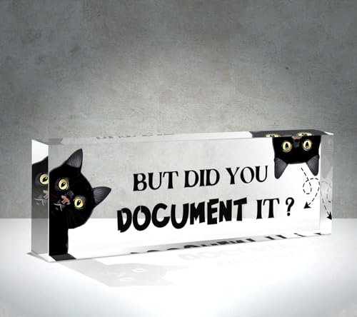 NANVIER Funny Office Acrylic Desk Sign, Humorous Inspirational Sign, 20x6.3 cm