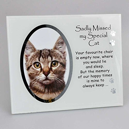 Angraves Sadly Missed My Special Cat Photo Frame 4 x 6 Aperture