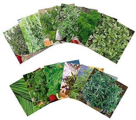 Samenshop24® Kräuterspirale anlegen | Größe: Dekadent | 12 verschiedene Sorten | Kräutersamen für eine ausgewogene Kräuterspirale