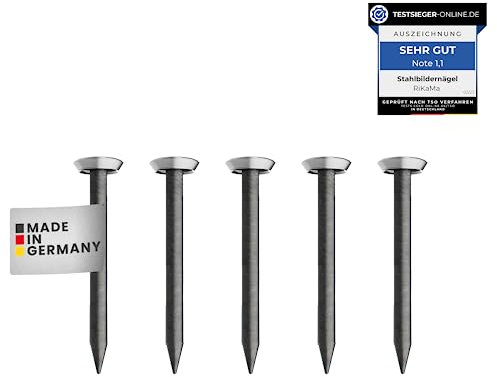 RIKAMA® – 100 Bildernägel – Stahlnägel für den Einsatz auf Beton, Ziegelstein, Putz & Holz – Nägel aus gehärtetem Stahl als Bilder Aufhängung – Made in Europe (Silberner Kopf, 25 mm)