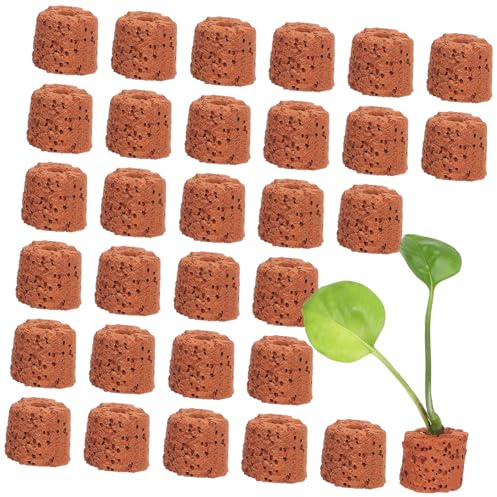 Gogogmee 30 Pezzi Fissi in per Piante Acquatiche Naturale per Acquario e Accessori Decorativi Resistenti per Laghetti e Vasche con Pesci