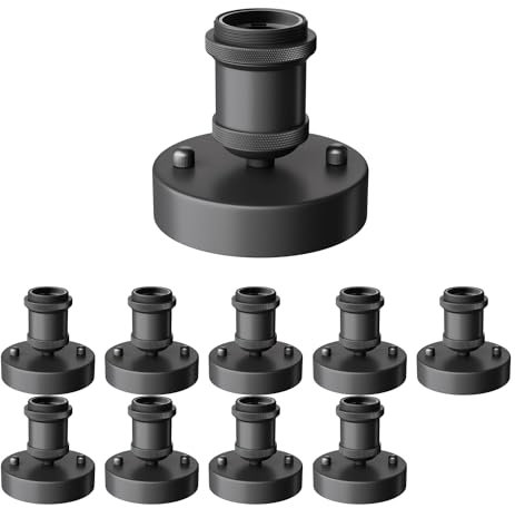 ledscom.de 10 Stück Deckenleuchte/Lampenfassung RETRA, schwarz matt, 1x E27 max. 60W