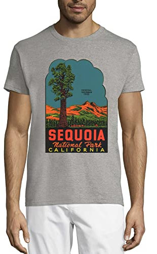 Sequoia National Park California General Sherman Tree Crew Neck Cotton Men's T-Shirt Gray Medium