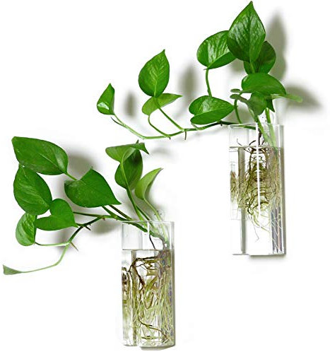 DOKIMIYA Wandbehang Pflanze Anzuchtstationen Glas Terrarium Container rechteckige Form Vase für Hydrokulturpflanzen Home Office Garten Hochzeit Dekor, 2 Stück