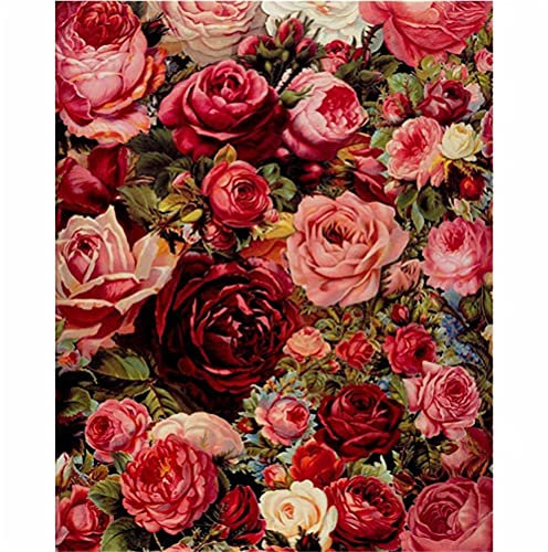 Meecaa Malen nach Zahlen, Blumen-Rose, romantisches Set für Erwachsene, Anfänger, DIY-Ölgemälde, 40,6 x 50,8 cm (Rose, ohne Rahmen)