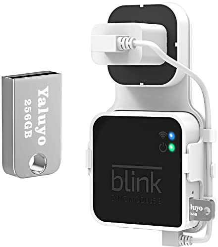 Yaluyo 256GB USB Flash Drive and Blink Sync Module 2 Mount, Save Space and Easy Mount Bracket for Blink Outdoor Indoor Security Camera
