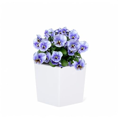 MELTOM Pflanzkübel Übertopf Eckig 18,5 cm Weiß Hochglanz mit Einsatz | Kunststoff, Gefäß 5,7 L, herausnehmbarer Einsatz 4,7 L, 18,5 x 18,5 x 19,5 cm, ohne Abflussloch, innen & außen