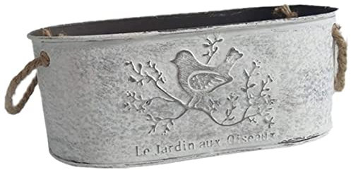 Yeory Pot de Fleur Vintage Ovale Mini Seau de Fer Art Art métal Metal Pots Plante décorative pour décoration Balcon Jardinage extérieur intérieur, Pot Plante