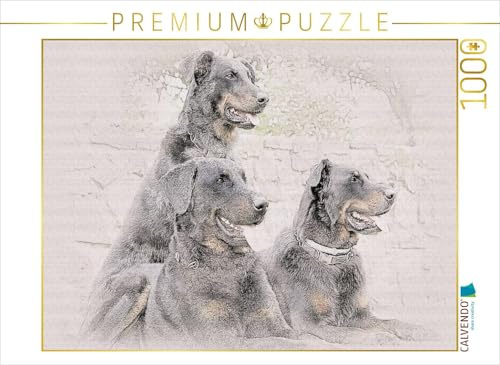 CALVENDO Puzzle Beauceron | 1000 Teile Lege-Größe 64 x 48 cm Foto-Puzzle für glückliche Stunden