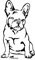 amberdog Französische Bulldogge French Bulldog Autoaufkleber Fensterfolie Art.Nr.AT0122, Aufkleber (20x15cm, weiß)