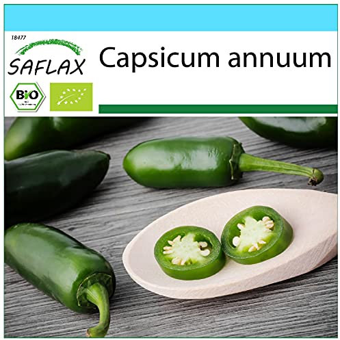 SAFLAX - - BIO - Peperoncino - Early Jalapeno - 20 semi - Capsicum annuum