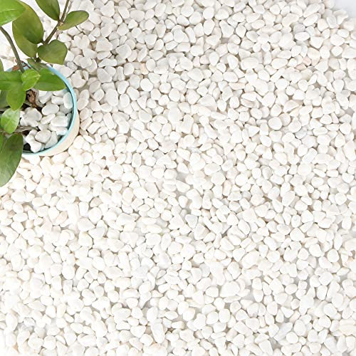 Anothera Sac en vrac de 8,2 kg de galets blancs de 1,27 cm pour aquarium, gravier extérieur, jardin, pavé, pierres décoratives