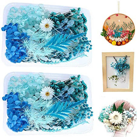 Gepresste Blumen Set, 2 Kasten Getrocknete Blumen, Echte Getrocknete Gepresste Blumen, Trockenblumen Set für DIY Anhänger Handyhüllen Sammelalben Kunst Blumen Dekoration, 17*12*3,5cm(Blau)