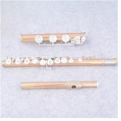 Professionelle Querflöte 17 Tasten, Offene Löcher, C-Ton, Flöteninstrument, Körper Aus Gold-Silber-Legierung, Versilberte Tasten, Flöte Mit Koffer