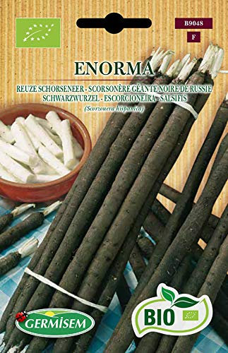 Germisem Bio Graines Scorsonère géante noire de Russie ENORMA