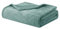 Homebliss Coperta Plaid Pile, Coperta Divano 130 x 150 cm - Coperta Flanella 280GSM Oeko-TEX®, Caldo Morbida e Leggera, Per letto, Divano, Viaggi, Campeggio,Verde Acqua