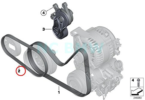BMW Genuine Ribbed V-Belt