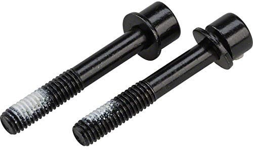 TRP - Spare - Mounting bolts(x2) for Flat Mount Rear cal 32mm