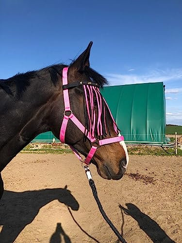 Halfter für Pferde mit Führstrick & Fliegenfransen Pferd, Halfter mit Strick - Halfter Pony Shetty Halfter Cob Full Kb (Pony, Schwarz-Pink + Schwarz + Pink)