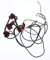 FIGEVIDA Interruttore Candeletta di accensione CATENARIA 5 fuochi Piano cottura Compatibile per SMEG 694490757
