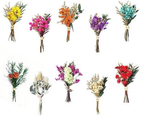 10 Stück Kleine Trockenblumensträuße Mini Trockenblumenstrauß Natürliche Trockenblumen Deko Strohblumen Getrocknet Set Kleine Trockenblumen für DIY Bastel Tagebuch und Fotoalbum Dekoration