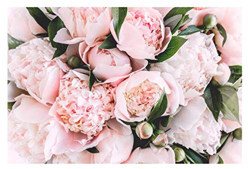 Vlies Fototapete Rosa Pfingstrosen mit Blättern Vliestapete 190cm x 288cm