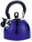DWD ® Whistling Stainless Steel 2.5 Litre Travelling Kettle I Folding Handle I Flip & Pour Spout Cap I Camping Fishing Caravan Holiday Home I Retro Classic Lightweight (Metallic Blue)
