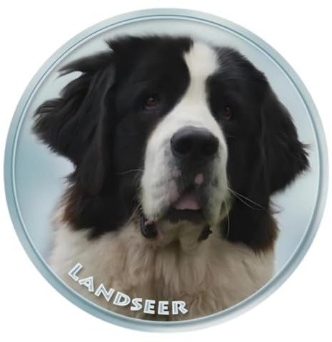 Landseer Hund Aufkleber, Reflektierend Wasserfest, Lustige Aufkleber für Laptop Kühlschrank Auto Stoßstange Fenster, Dekorative Sticker (15cm/5.9 Inch)