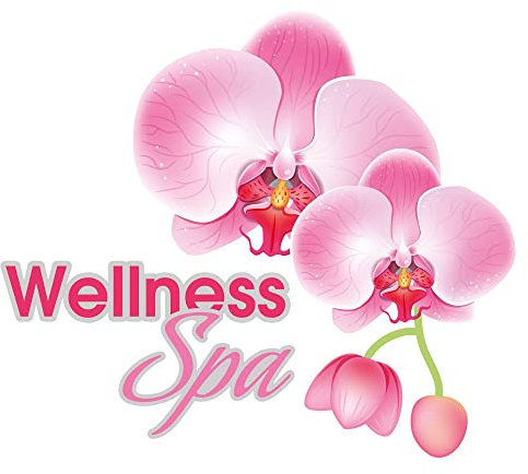 GRAZDesign Wandtattoo Badezimmer Orchidee Wellness Spa Feng Shui | Wandsticker Wandaufkleber Bad, Tür, Fliesenaufkleber Klebefolie Fliesen im Nassbereich, 46x40cm