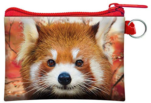 Porte-monnaie 3D LiveLife - Bébé Panda de Deluxebase. Porte-monnaie et carte Lenticulaire 3D animaux avec fermeture éclair sécurisée avec illustrations sous licence artiste renommé David Penfound