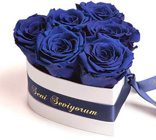 ROSEMARIE SCHULZ Heidelberg Herz Box Infinity konservierte Rosen in Dose Geschenk für Frauen (Seni Seviyorum, Blau)