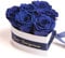 ROSEMARIE SCHULZ Heidelberg Herz Box Infinity konservierte Rosen in Dose Geschenk für Frauen (Seni Seviyorum, Blau)