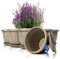 BigDean 6x Blumentopf mit Untersetzer rund ø40xH31 cm Mokka/braun - wetterfester Pflanzkübel - Wasserablauf UV-beständig aus bruchsicherem Kunststoff - Innen + Außen geeignet - Made in Europe