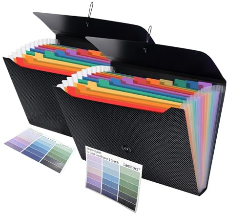 Lamitocs 2 Stück Dokumentenmappe A4, Dateiorganizer mit 13 Fächern und farbigen Etiketten, A4-Kunststoffmappe zur Dokumentenaufbewahrung für Schule, Büro und Zuhause,Schwarz (innen bunt)